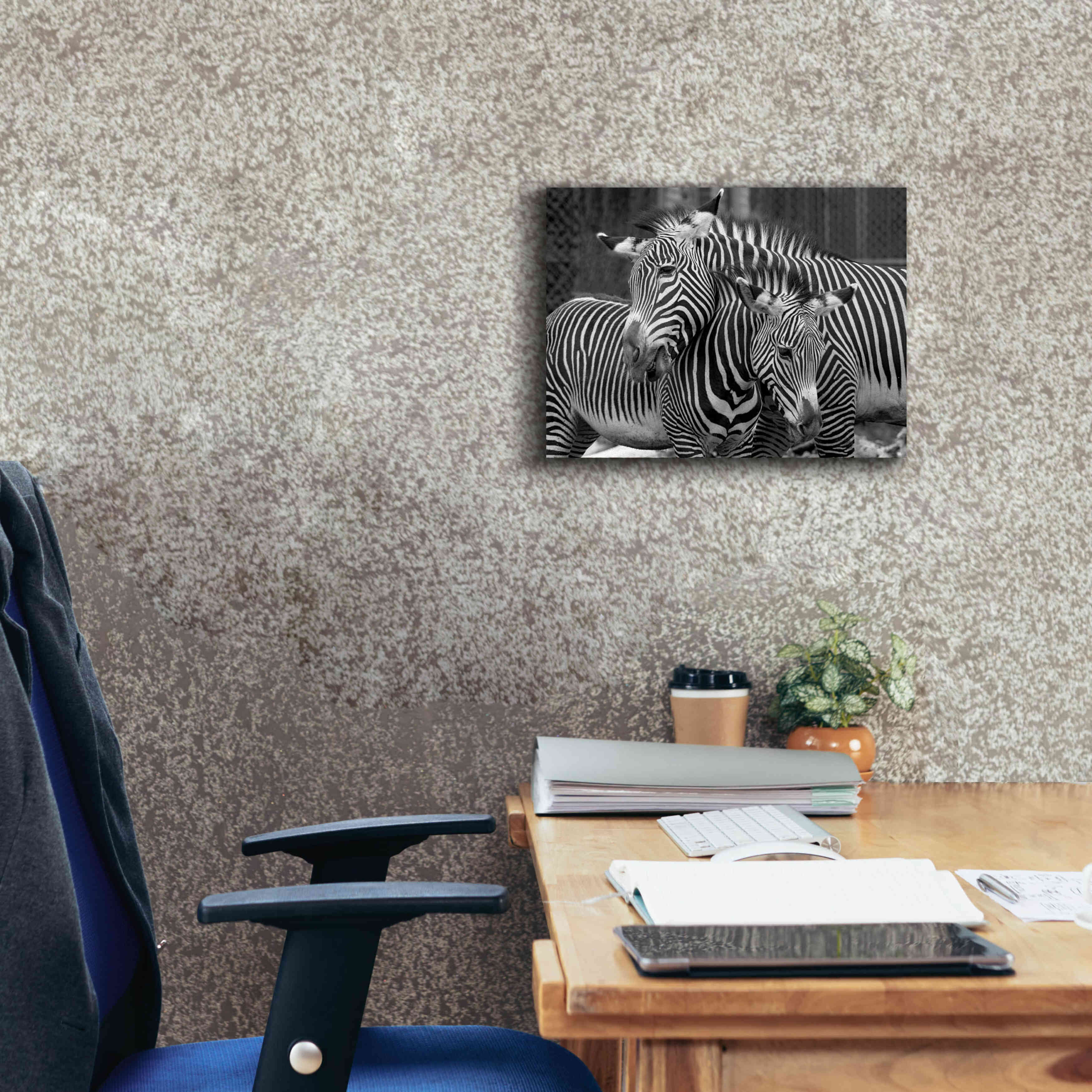 'Zebras' by Mike Jones, Giclee Canvas Wall Art,16 x 12