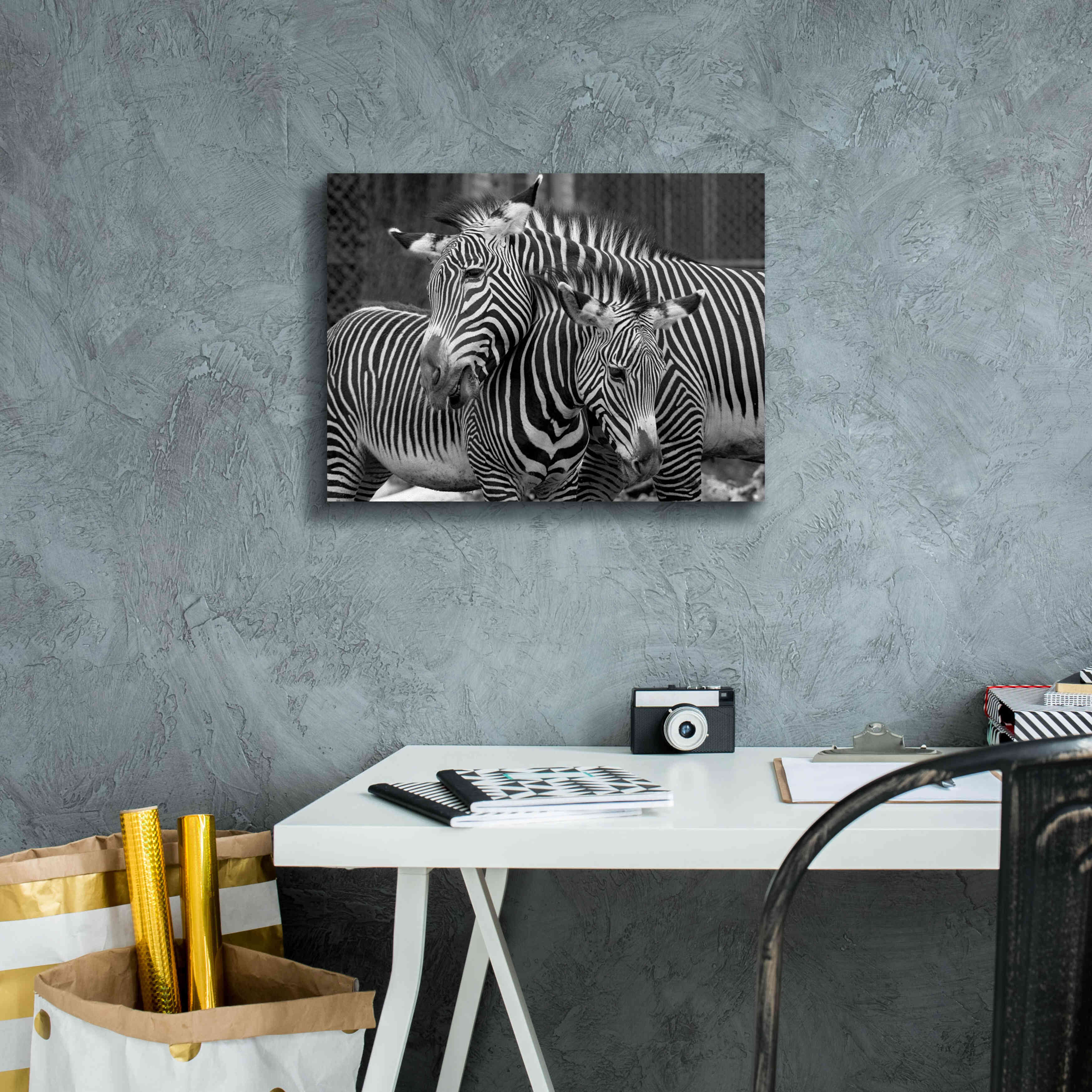 'Zebras' by Mike Jones, Giclee Canvas Wall Art,16 x 12
