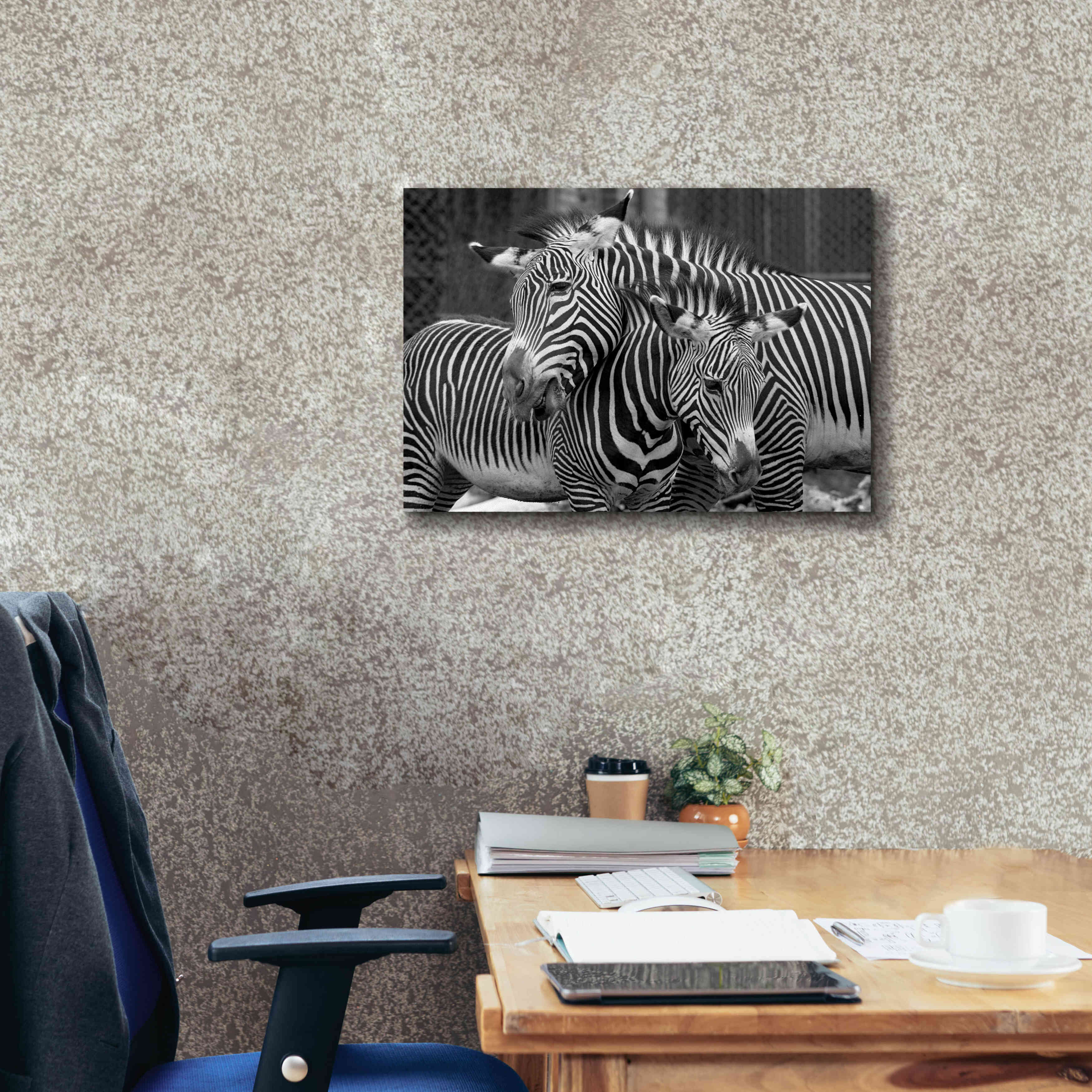 'Zebras' by Mike Jones, Giclee Canvas Wall Art,24 x 20