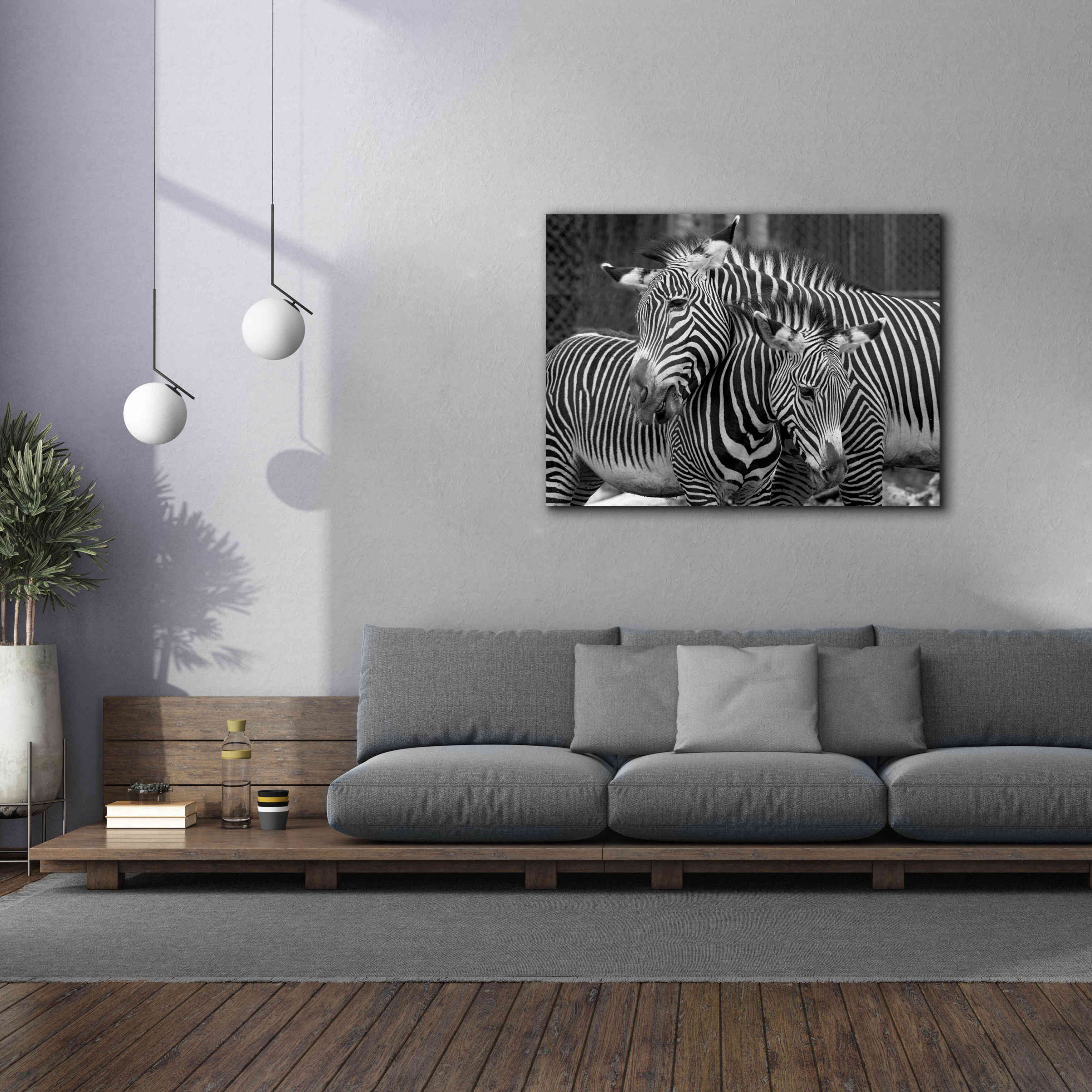 'Zebras' by Mike Jones, Giclee Canvas Wall Art,54 x 40