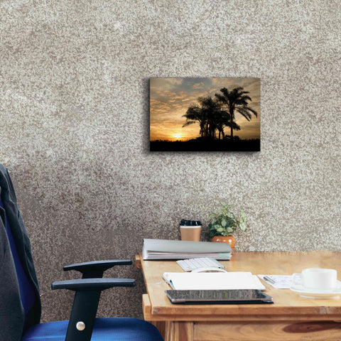Image of 'Sunrise Experinemt' by Mike Jones, Giclee Canvas Wall Art,18 x 12