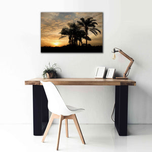 'Sunrise Experinemt' by Mike Jones, Giclee Canvas Wall Art,40 x 26