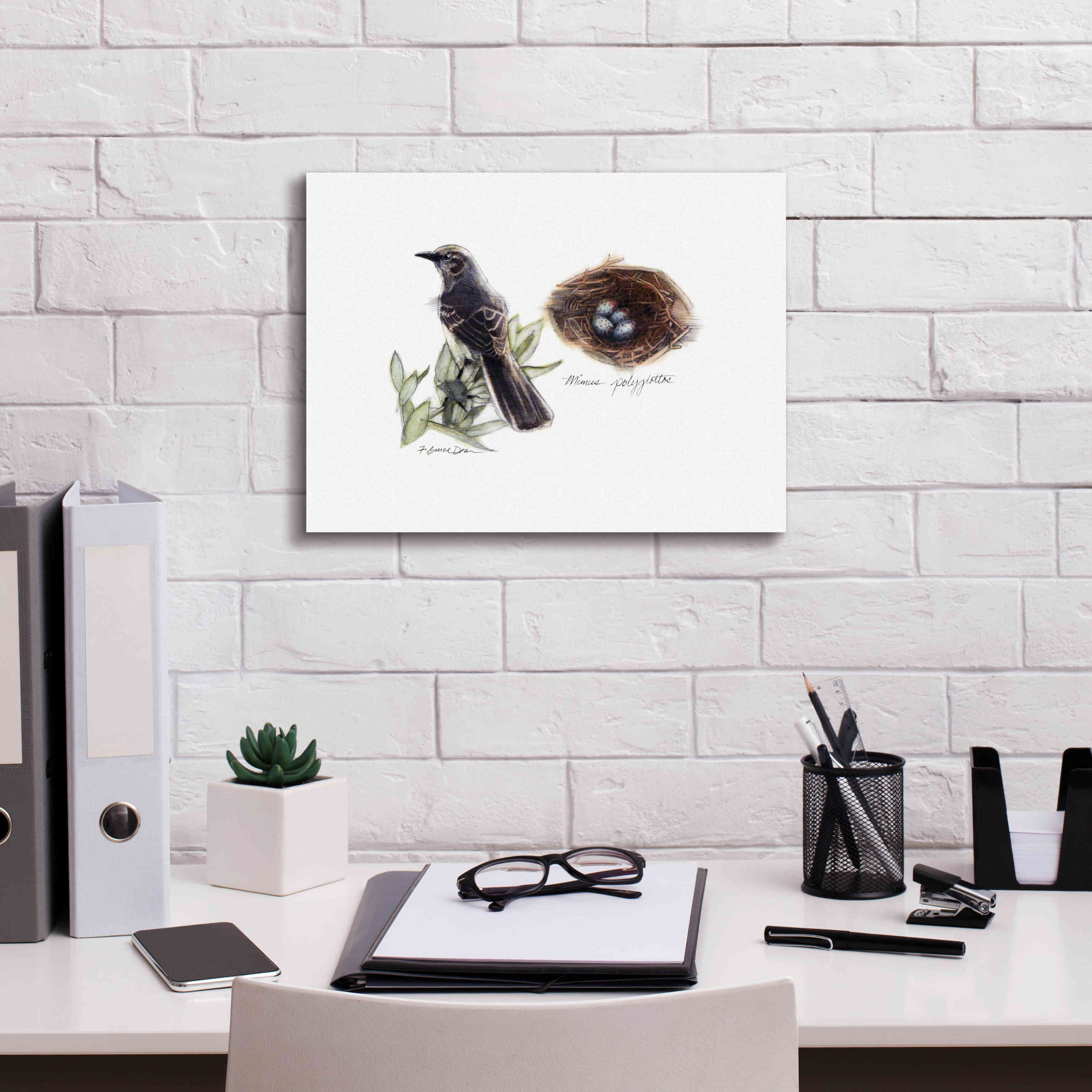 'Bird & Nest Study I' by Bruce Dean, Giclee Canvas Wall Art,16x12