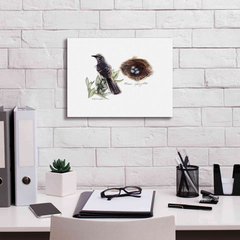 Image of 'Bird & Nest Study I' by Bruce Dean, Giclee Canvas Wall Art,16x12