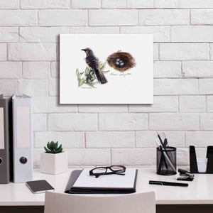 'Bird & Nest Study I' by Bruce Dean, Giclee Canvas Wall Art,16x12