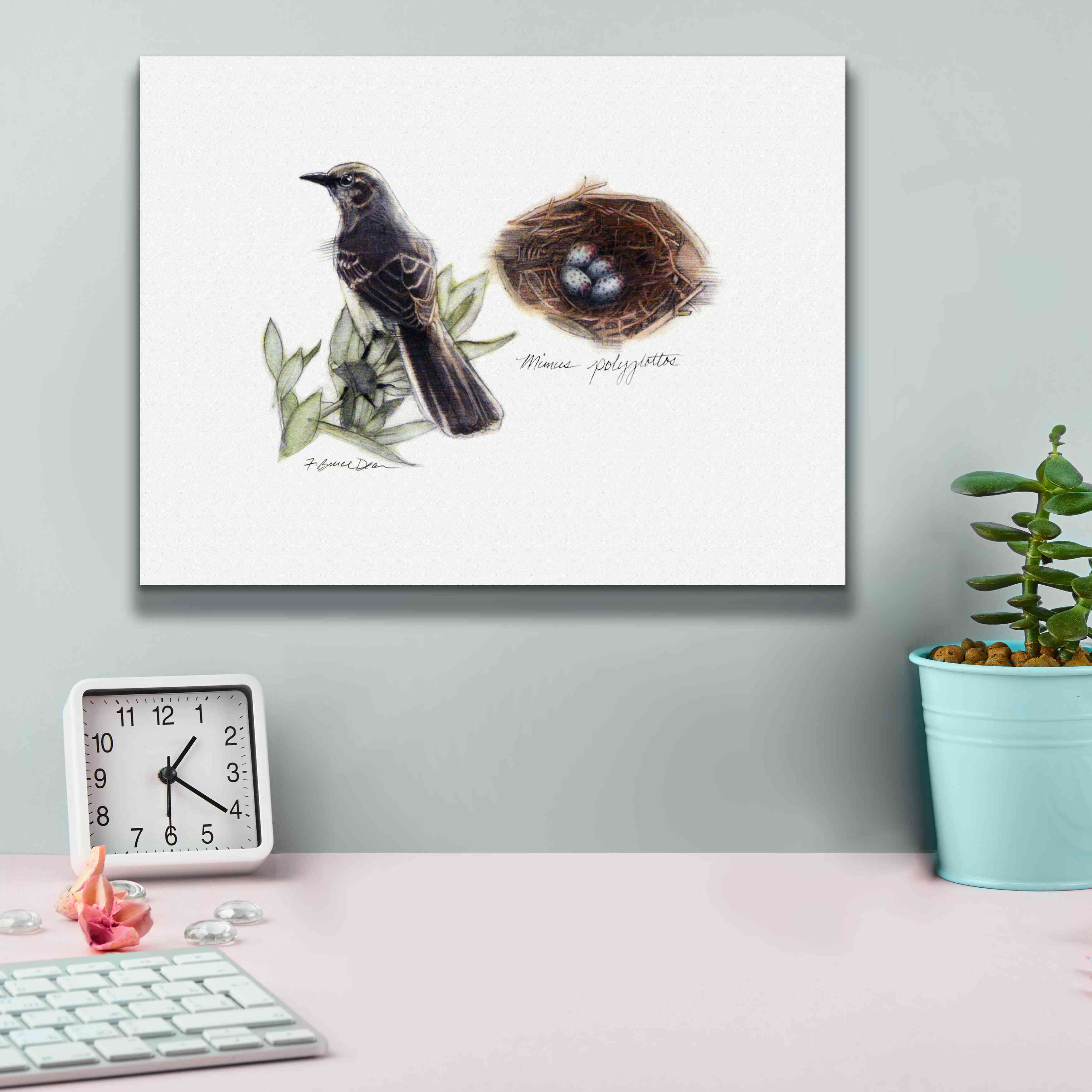 'Bird & Nest Study I' by Bruce Dean, Giclee Canvas Wall Art,16x12