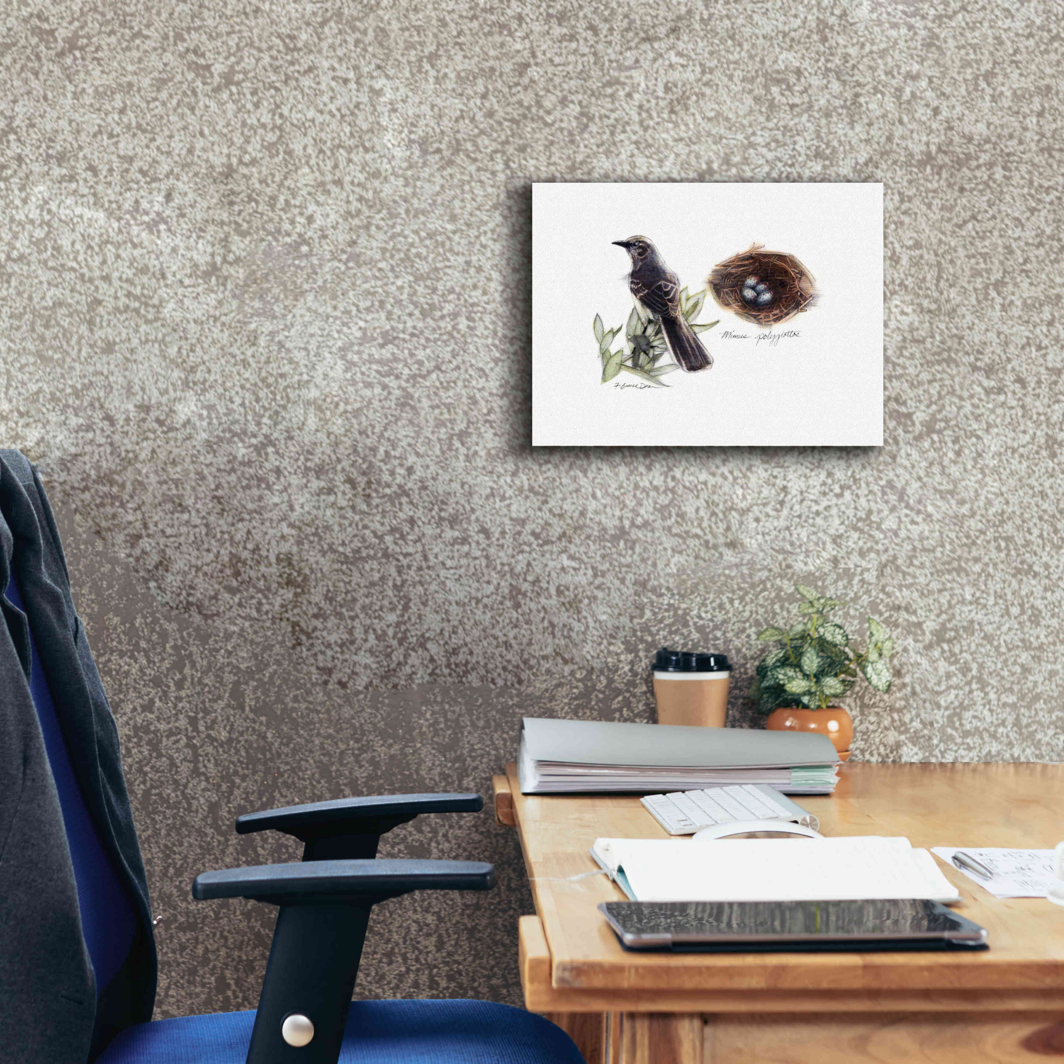 'Bird & Nest Study I' by Bruce Dean, Giclee Canvas Wall Art,16x12