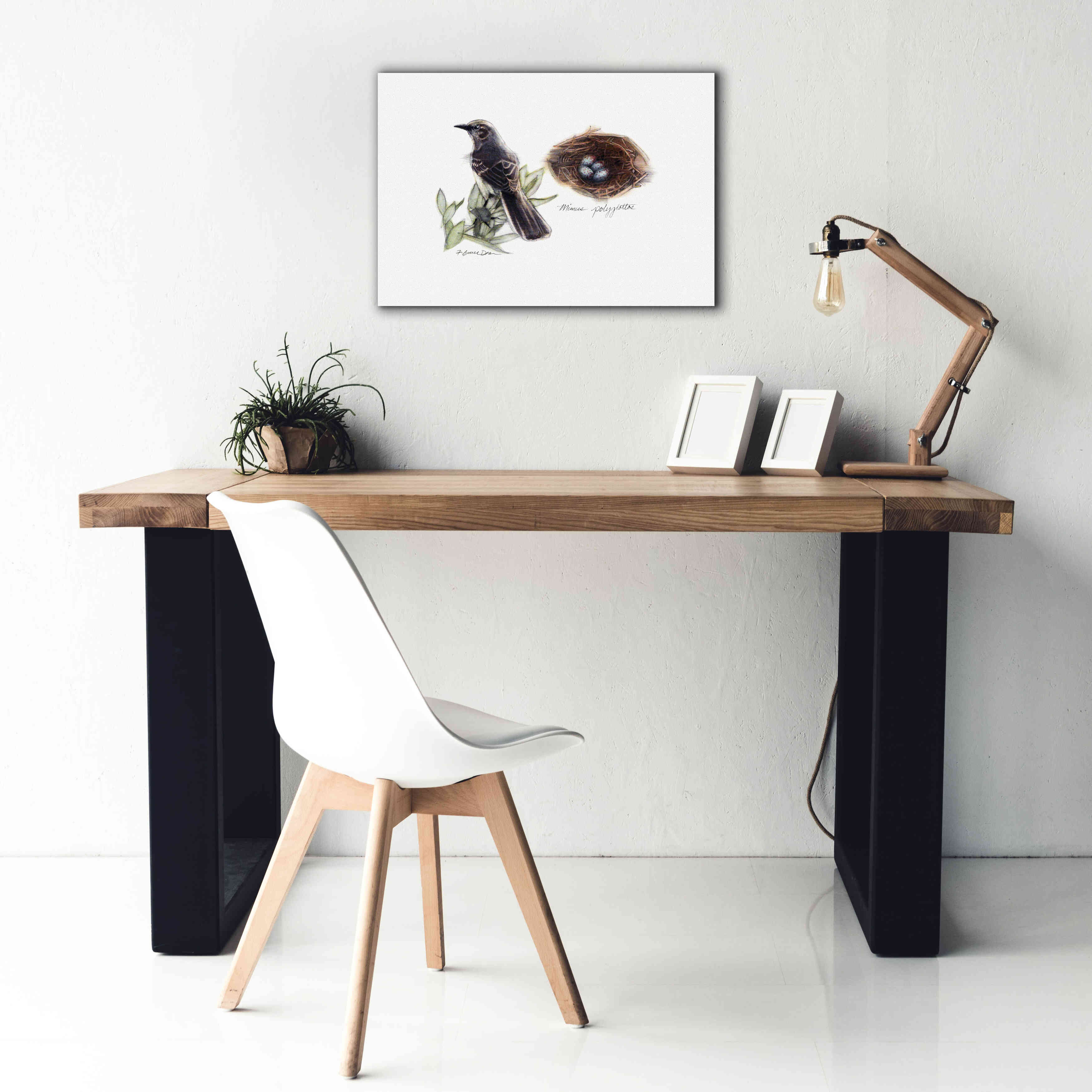'Bird & Nest Study I' by Bruce Dean, Giclee Canvas Wall Art,26x18
