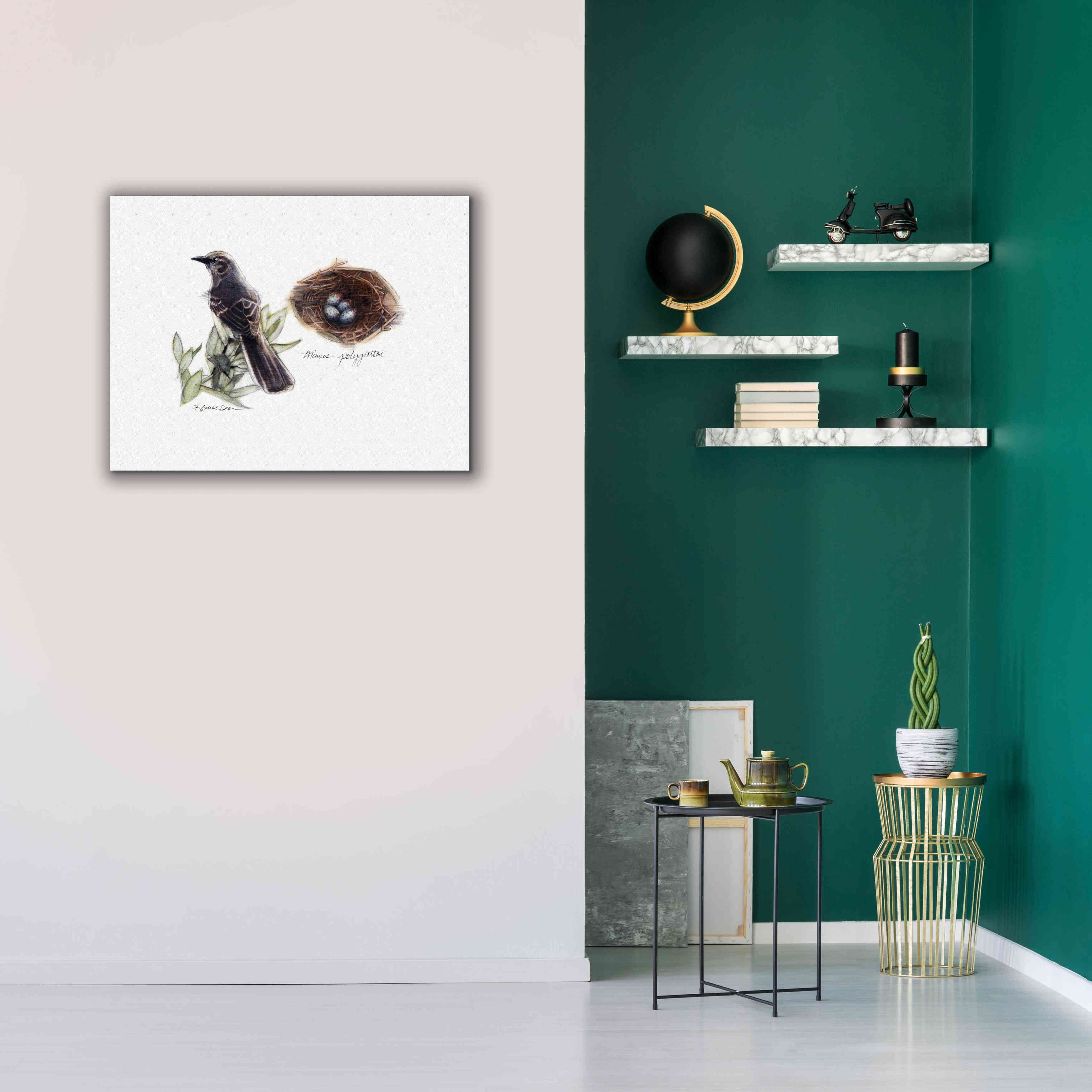 'Bird & Nest Study I' by Bruce Dean, Giclee Canvas Wall Art,34x26