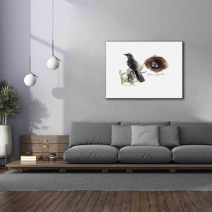 'Bird & Nest Study I' by Bruce Dean, Giclee Canvas Wall Art,54x40