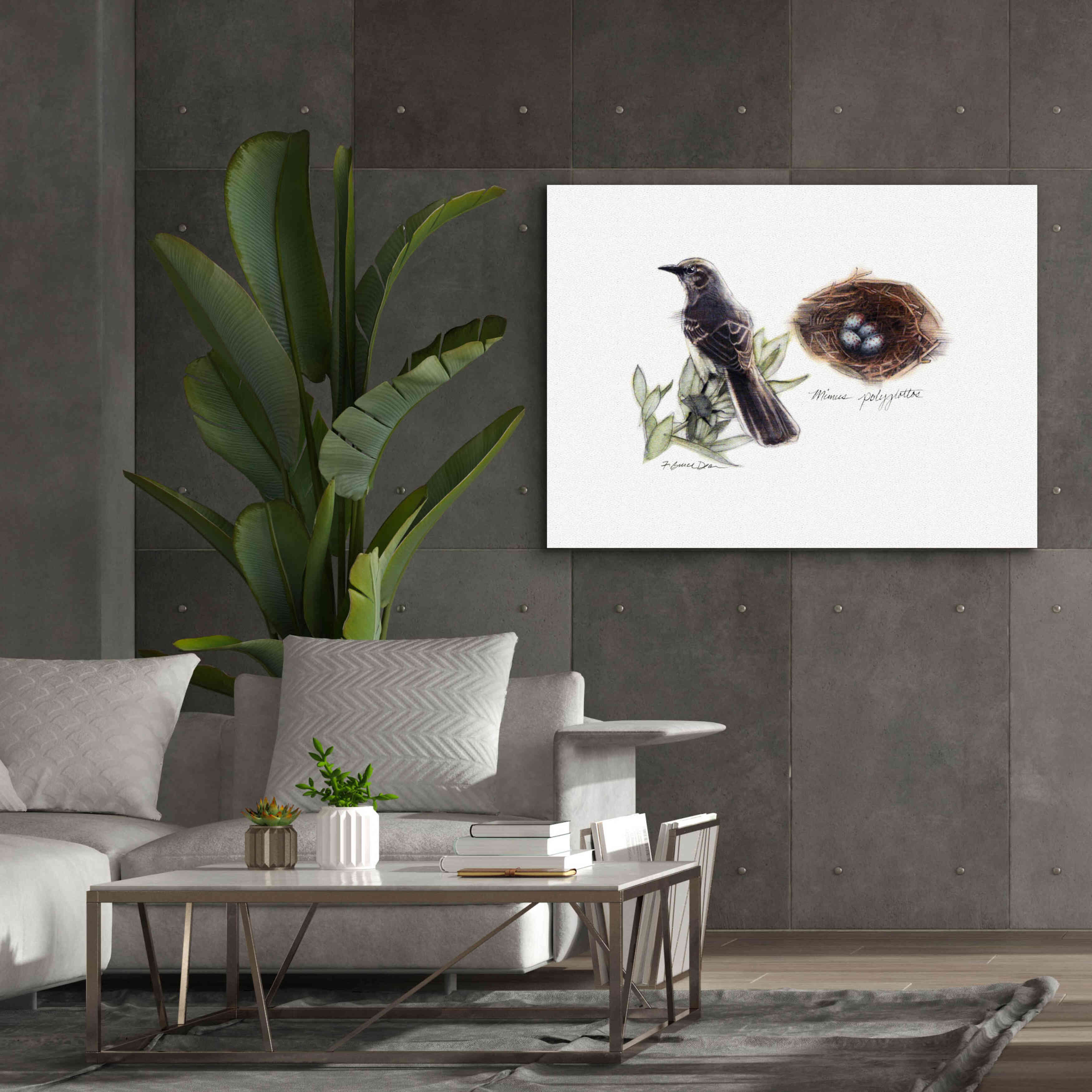 'Bird & Nest Study I' by Bruce Dean, Giclee Canvas Wall Art,54x40