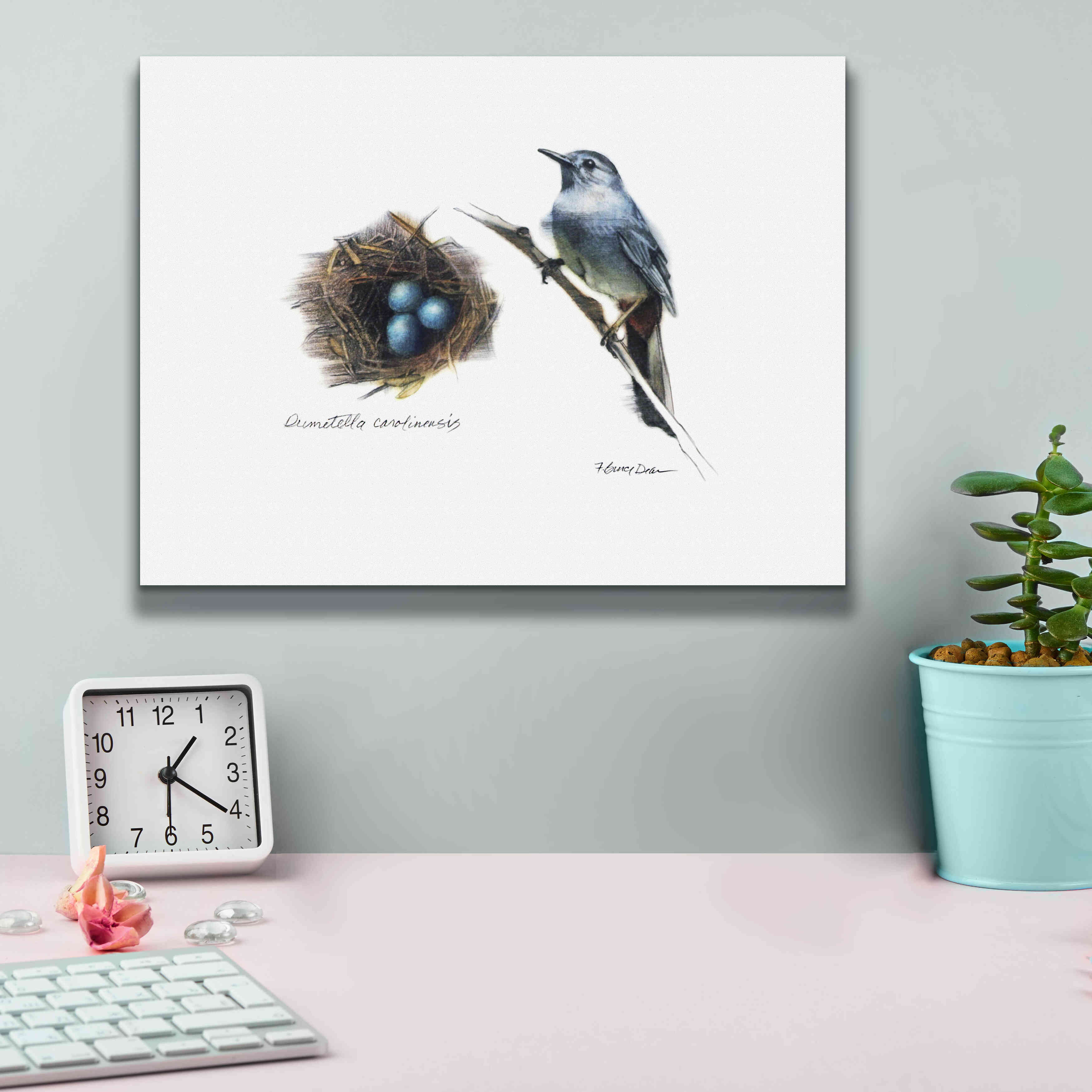 'Bird & Nest Study II' by Bruce Dean, Giclee Canvas Wall Art,16x12