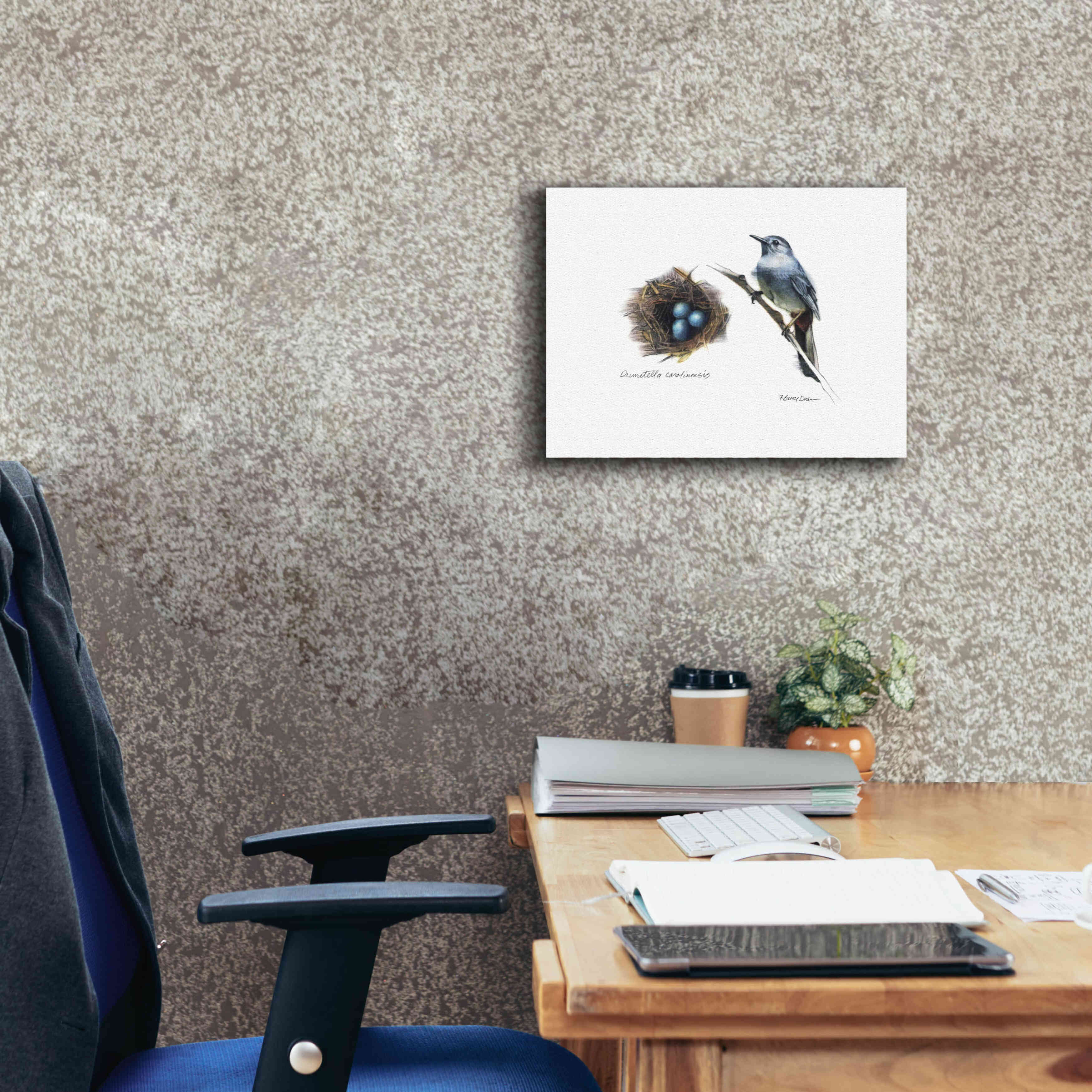 'Bird & Nest Study II' by Bruce Dean, Giclee Canvas Wall Art,16x12