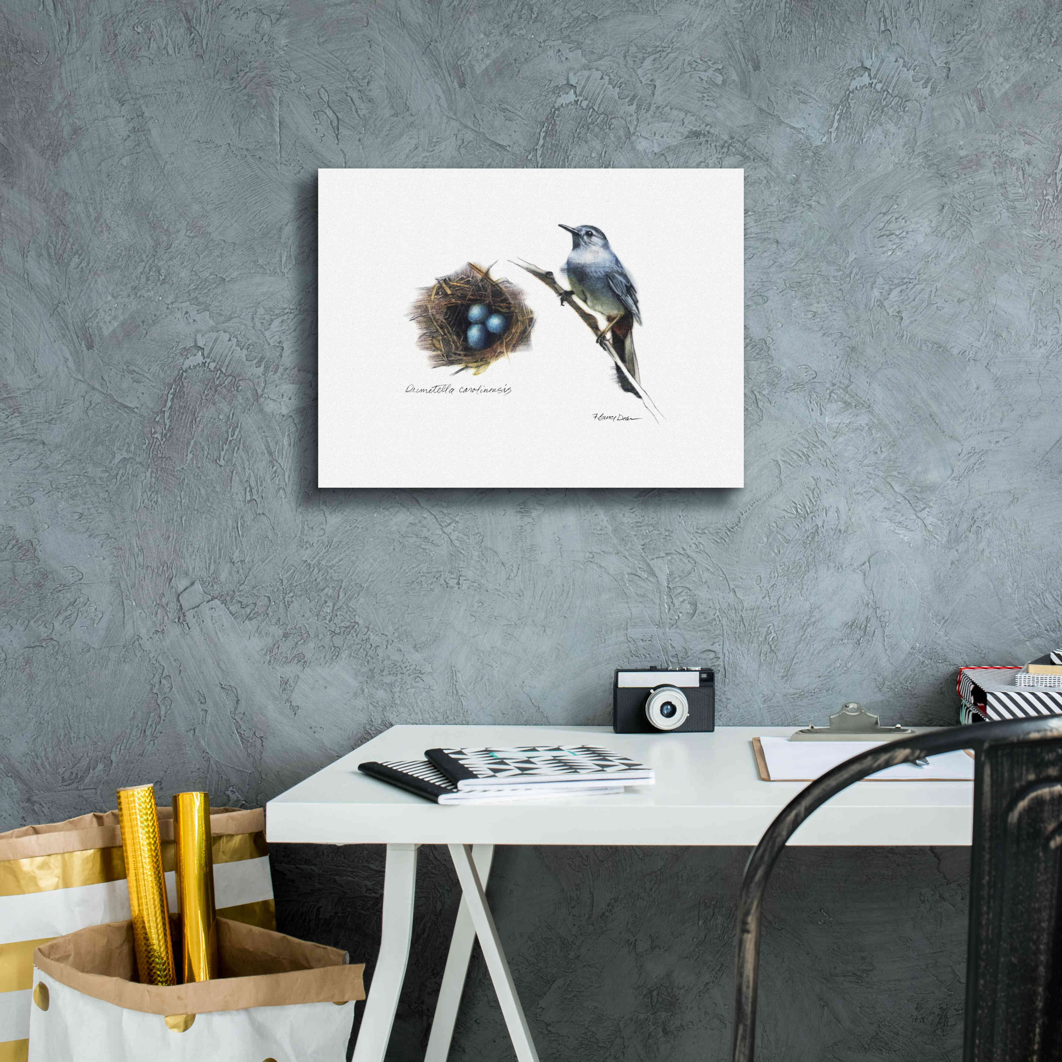 'Bird & Nest Study II' by Bruce Dean, Giclee Canvas Wall Art,16x12