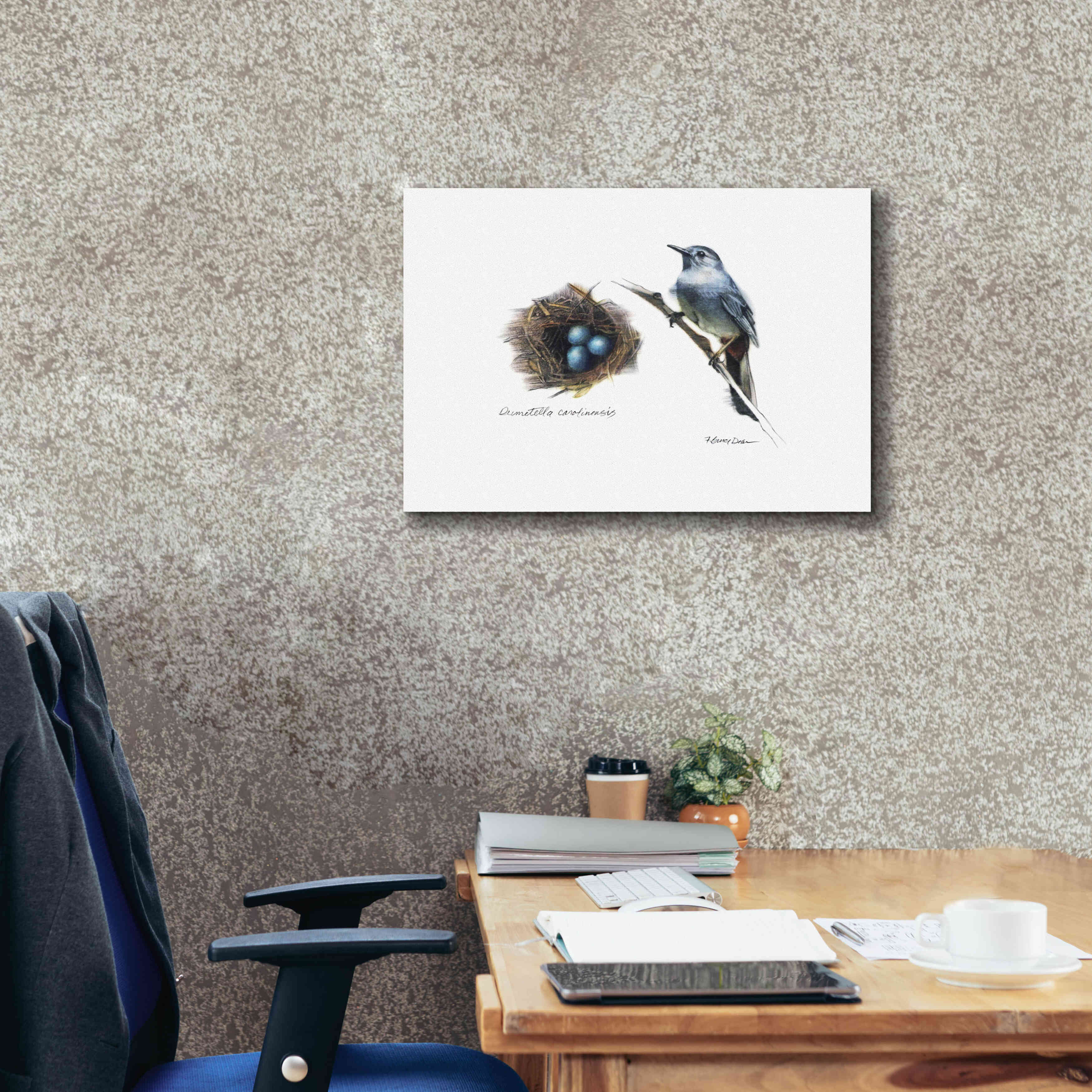 'Bird & Nest Study II' by Bruce Dean, Giclee Canvas Wall Art,26x18