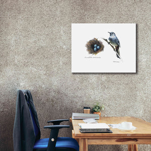 'Bird & Nest Study II' by Bruce Dean, Giclee Canvas Wall Art,34x26