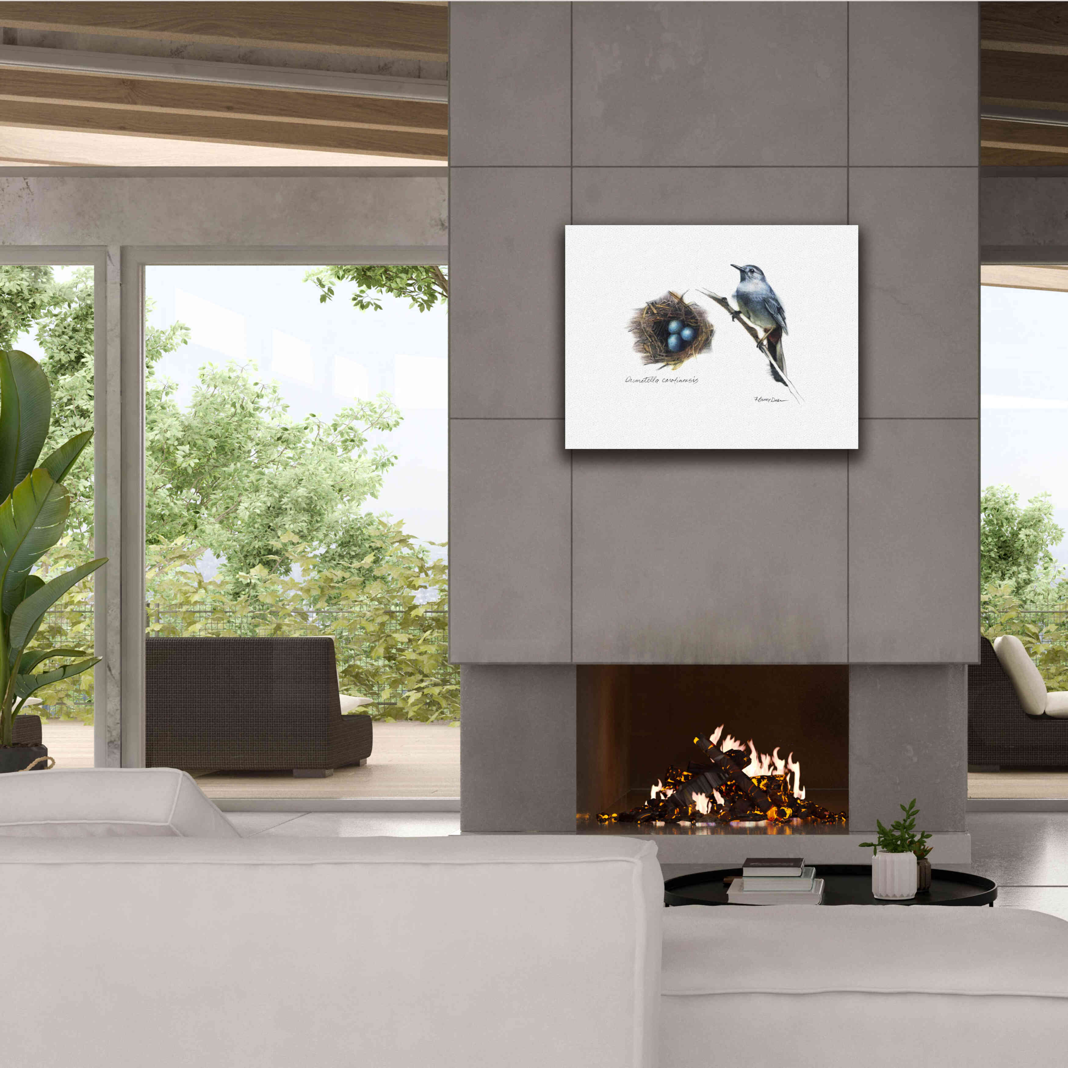 'Bird & Nest Study II' by Bruce Dean, Giclee Canvas Wall Art,34x26