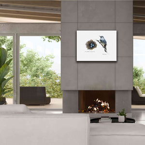 'Bird & Nest Study II' by Bruce Dean, Giclee Canvas Wall Art,34x26