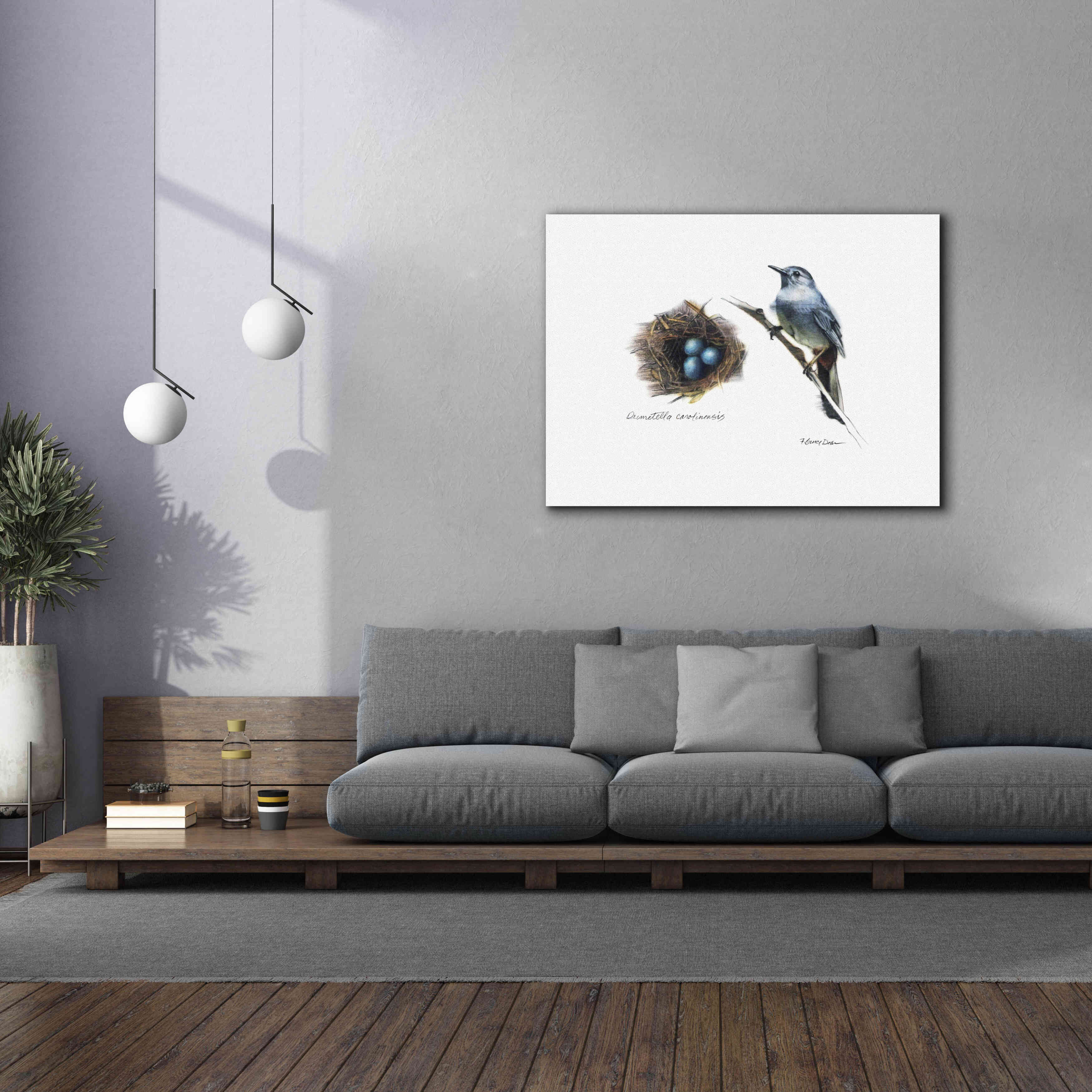 'Bird & Nest Study II' by Bruce Dean, Giclee Canvas Wall Art,54x40