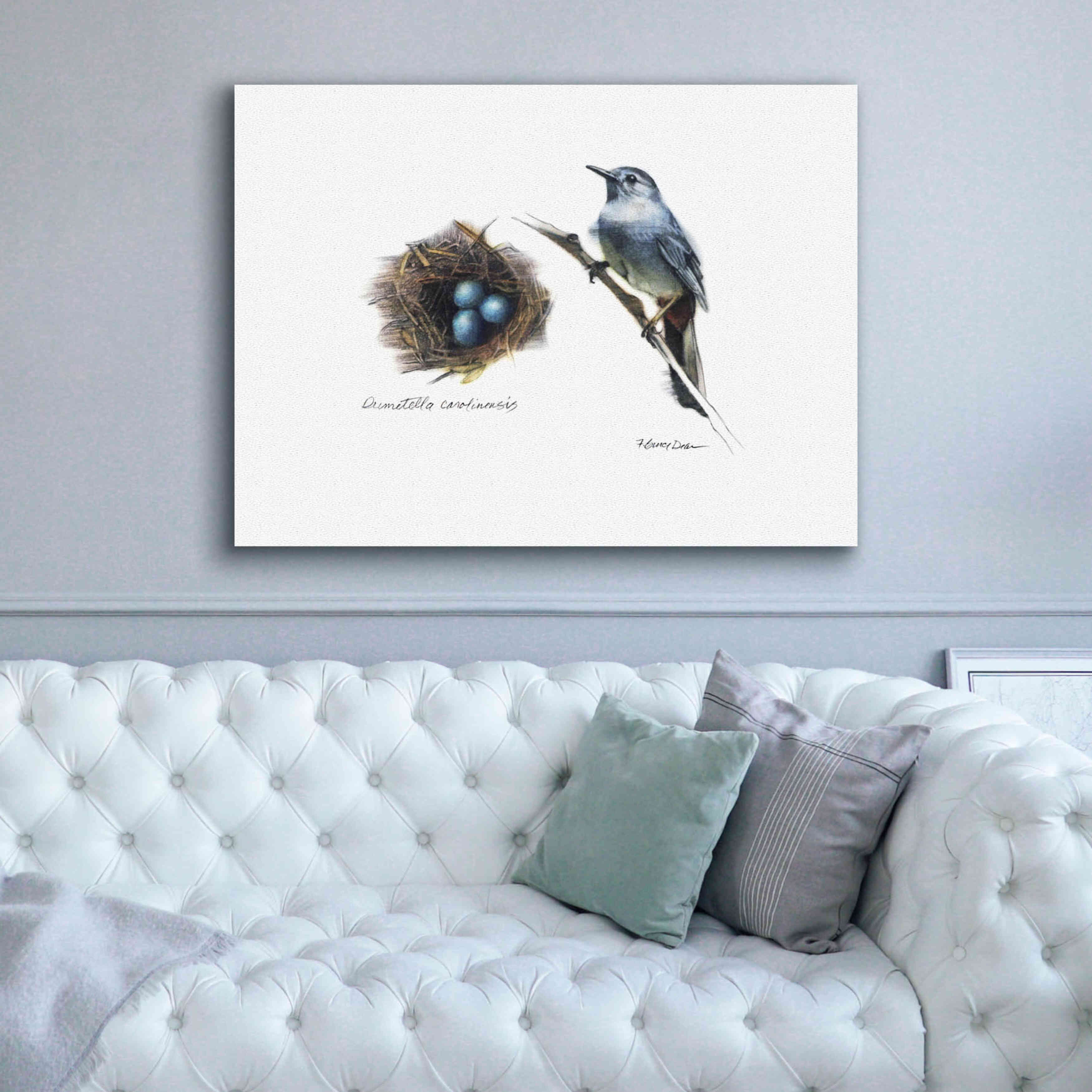 'Bird & Nest Study II' by Bruce Dean, Giclee Canvas Wall Art,54x40