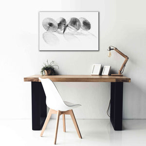 'Parisols II' by Bruce Dean, Giclee Canvas Wall Art,40x26