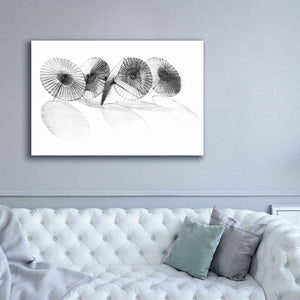 'Parisols II' by Bruce Dean, Giclee Canvas Wall Art,60x40