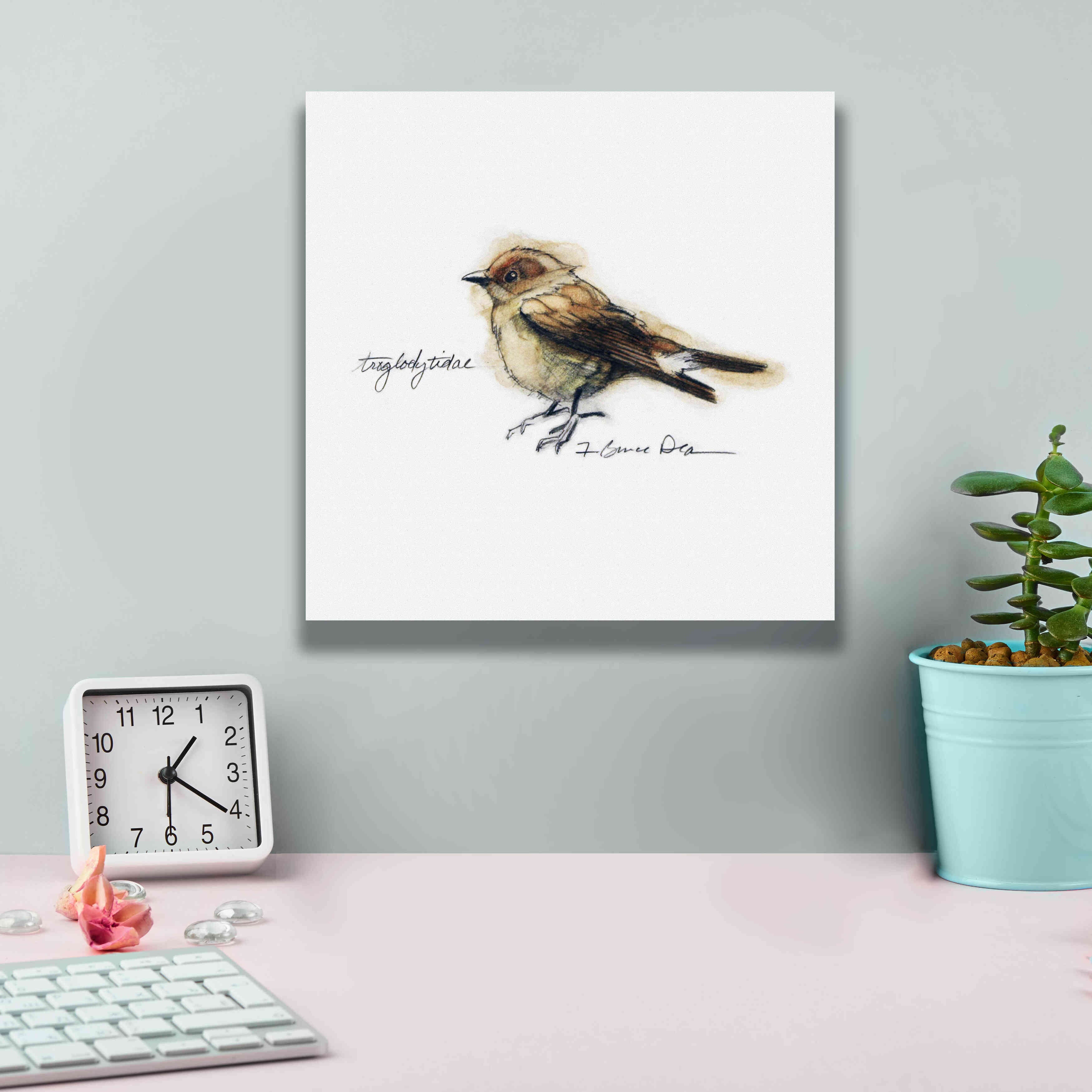 'Songbird Study I' by Bruce Dean, Giclee Canvas Wall Art,12x12