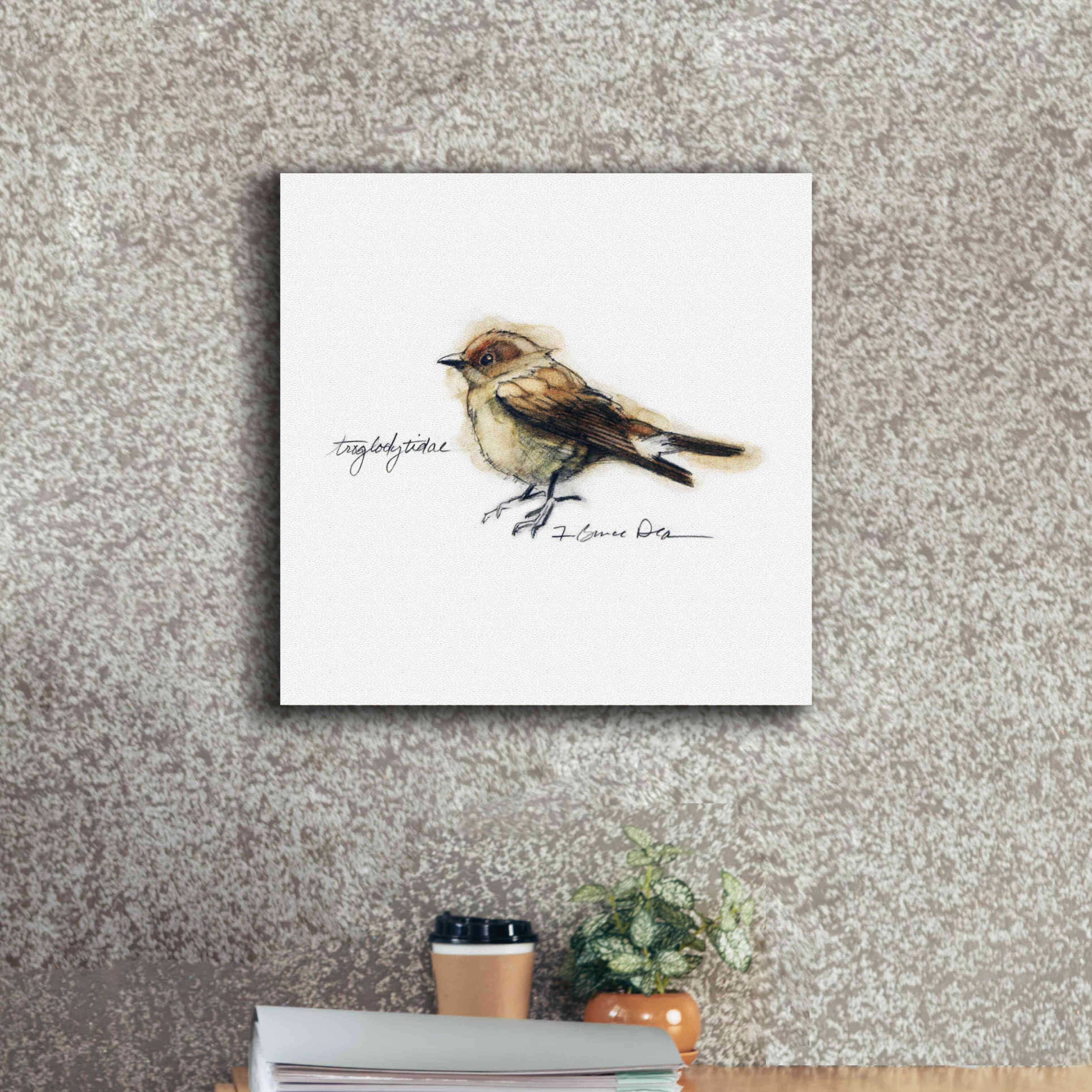'Songbird Study I' by Bruce Dean, Giclee Canvas Wall Art,18x18