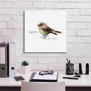 'Songbird Study I' by Bruce Dean, Giclee Canvas Wall Art,18x18