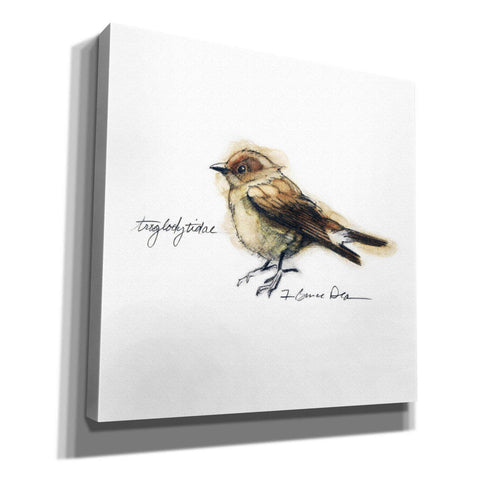 Image of 'Songbird Study I' by Bruce Dean, Giclee Canvas Wall Art