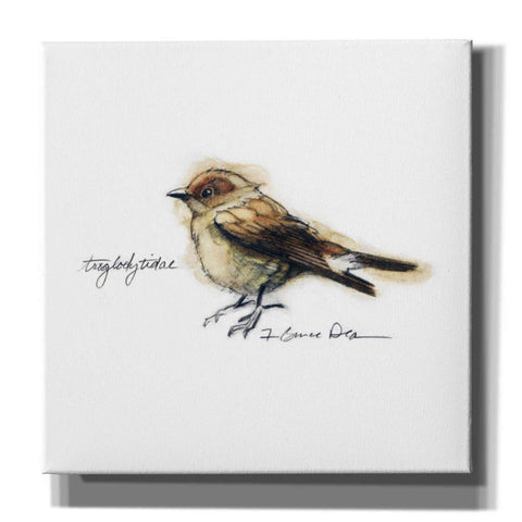 Image of 'Songbird Study I' by Bruce Dean, Giclee Canvas Wall Art