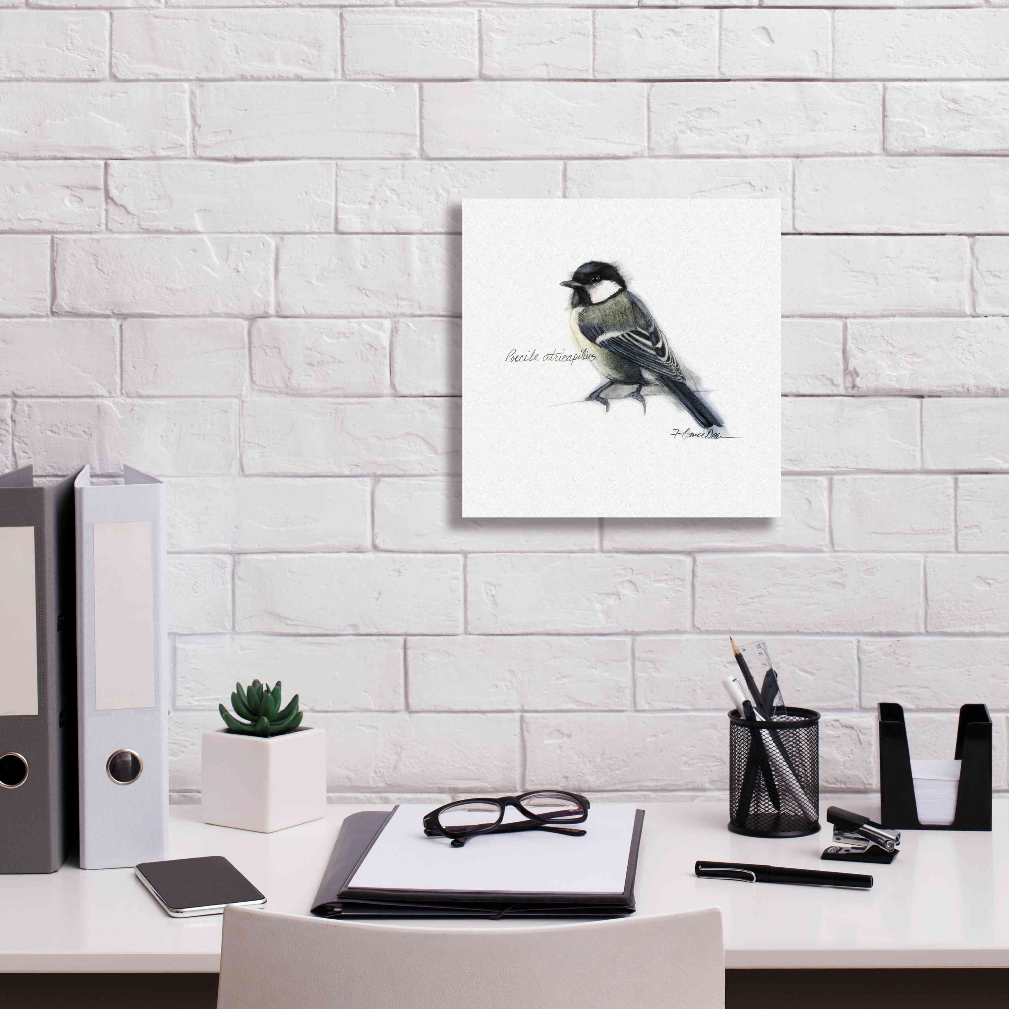 'Songbird Study II' by Bruce Dean, Giclee Canvas Wall Art,12x12