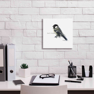 'Songbird Study II' by Bruce Dean, Giclee Canvas Wall Art,12x12
