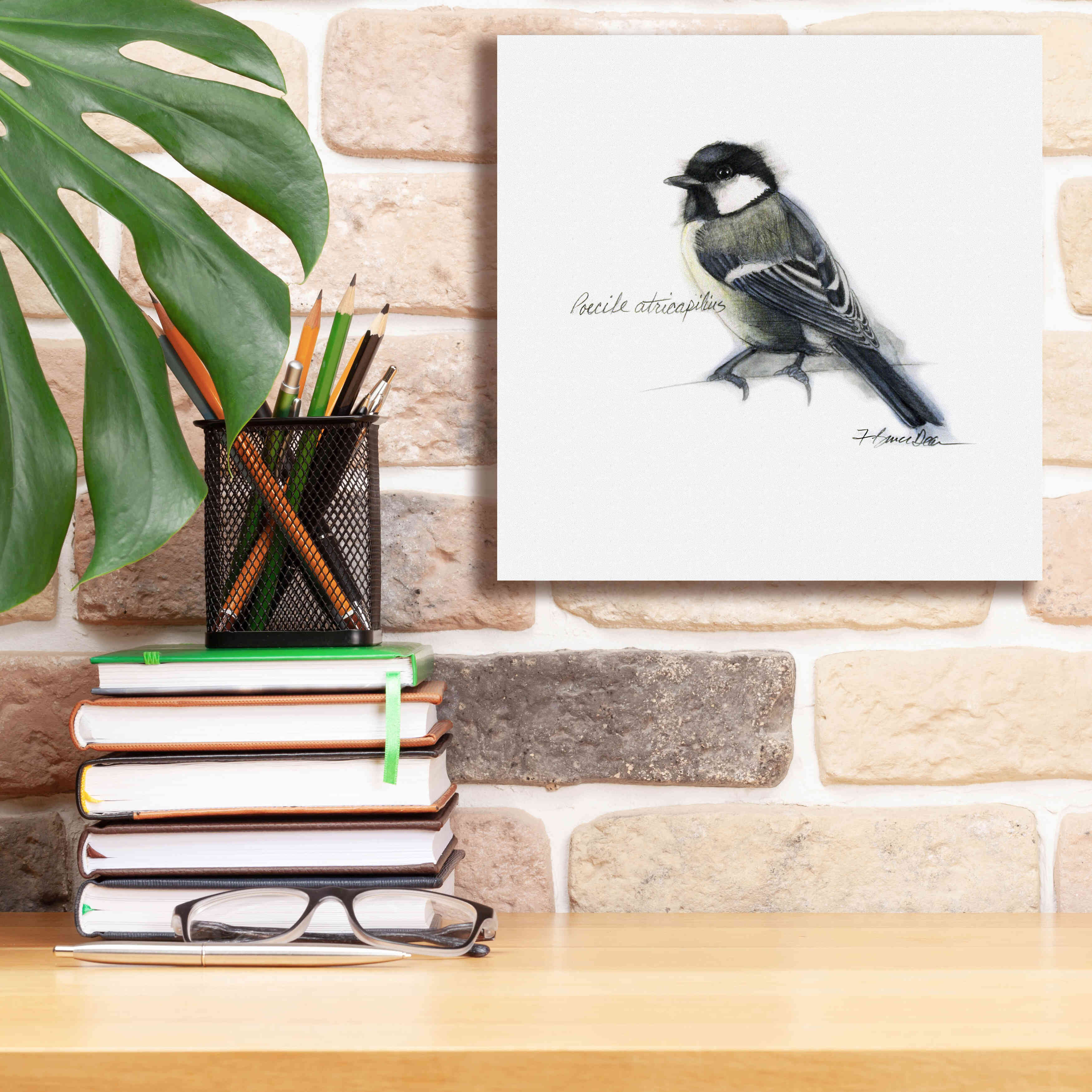 'Songbird Study II' by Bruce Dean, Giclee Canvas Wall Art,12x12