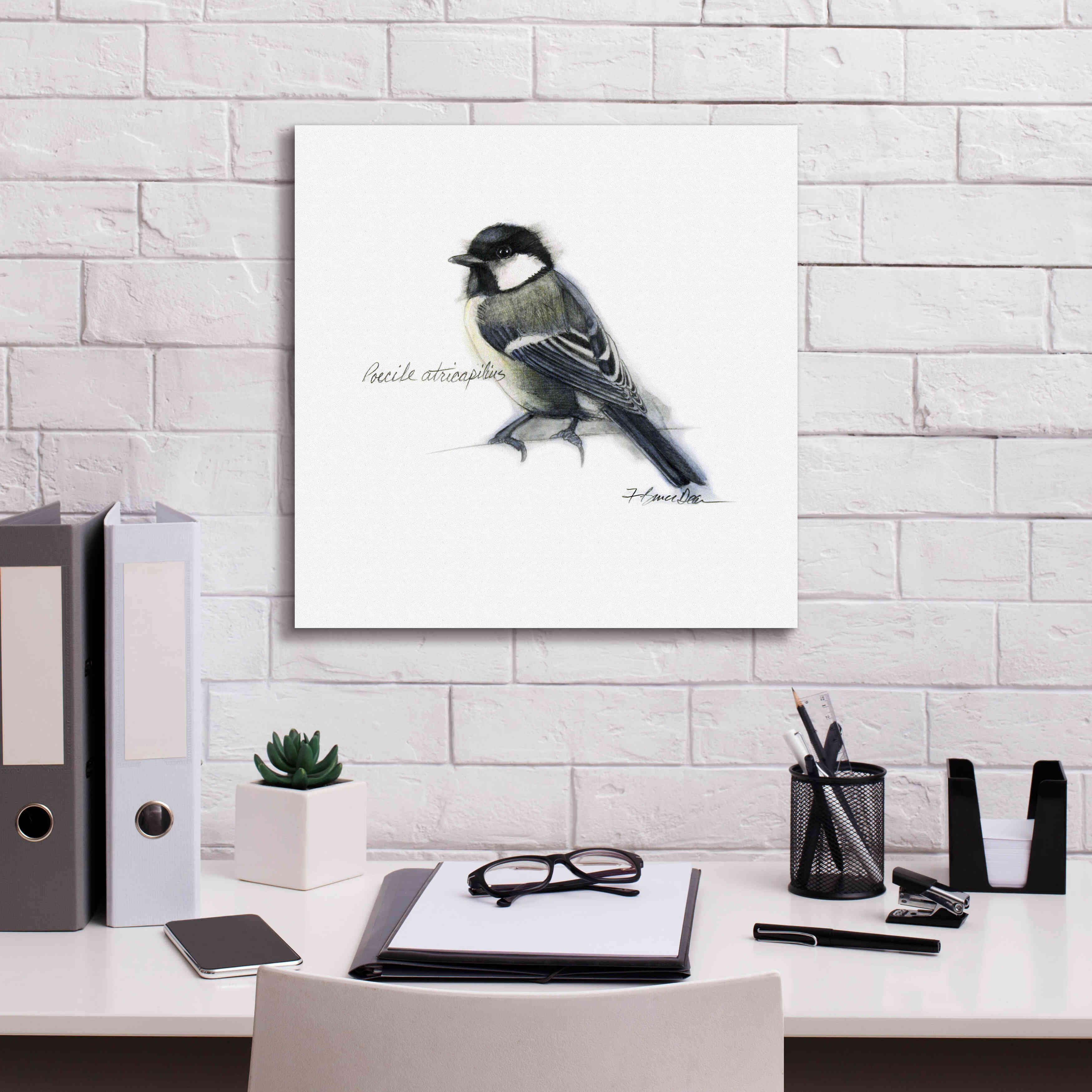 'Songbird Study II' by Bruce Dean, Giclee Canvas Wall Art,18x18