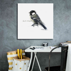 'Songbird Study II' by Bruce Dean, Giclee Canvas Wall Art,26x26
