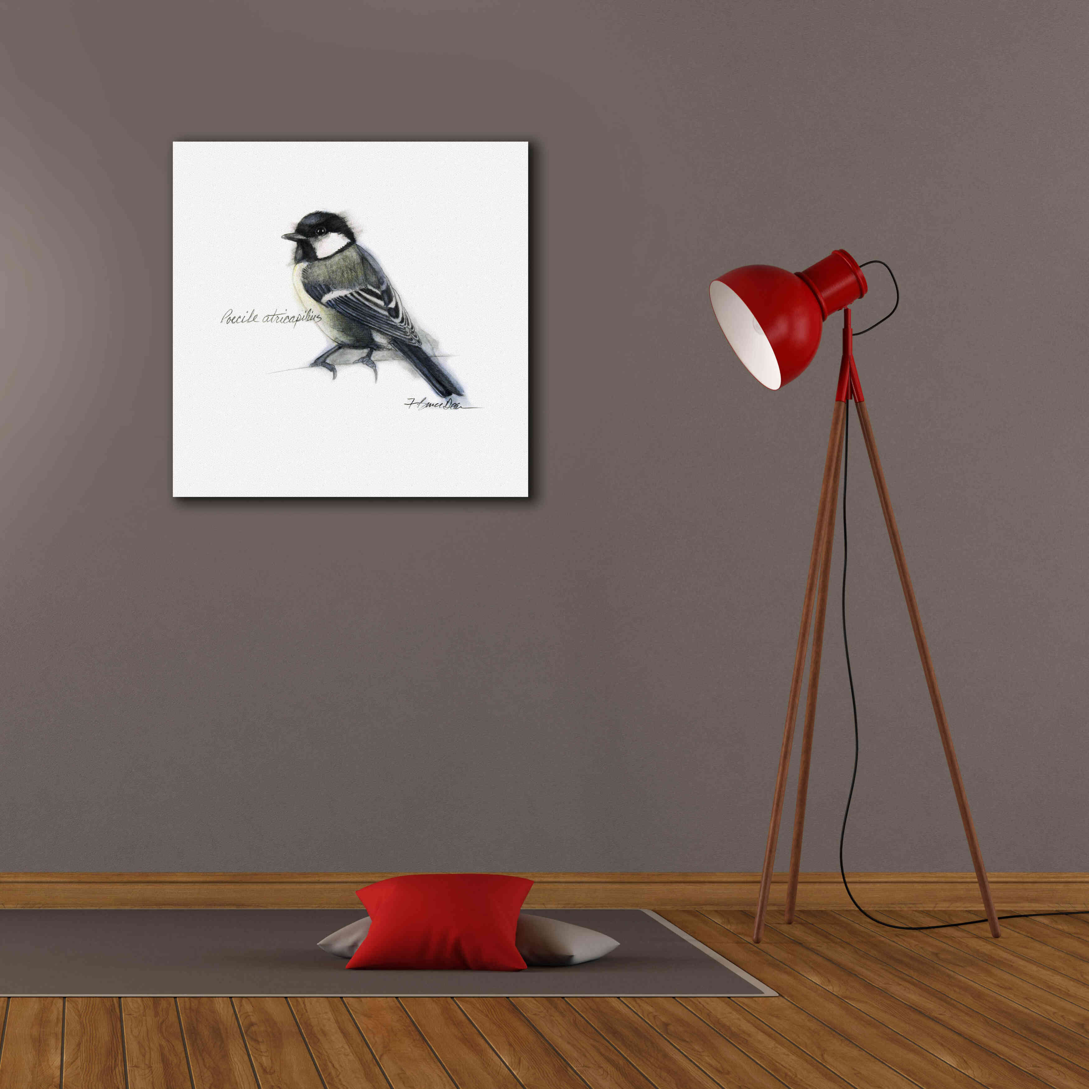 'Songbird Study II' by Bruce Dean, Giclee Canvas Wall Art,26x26