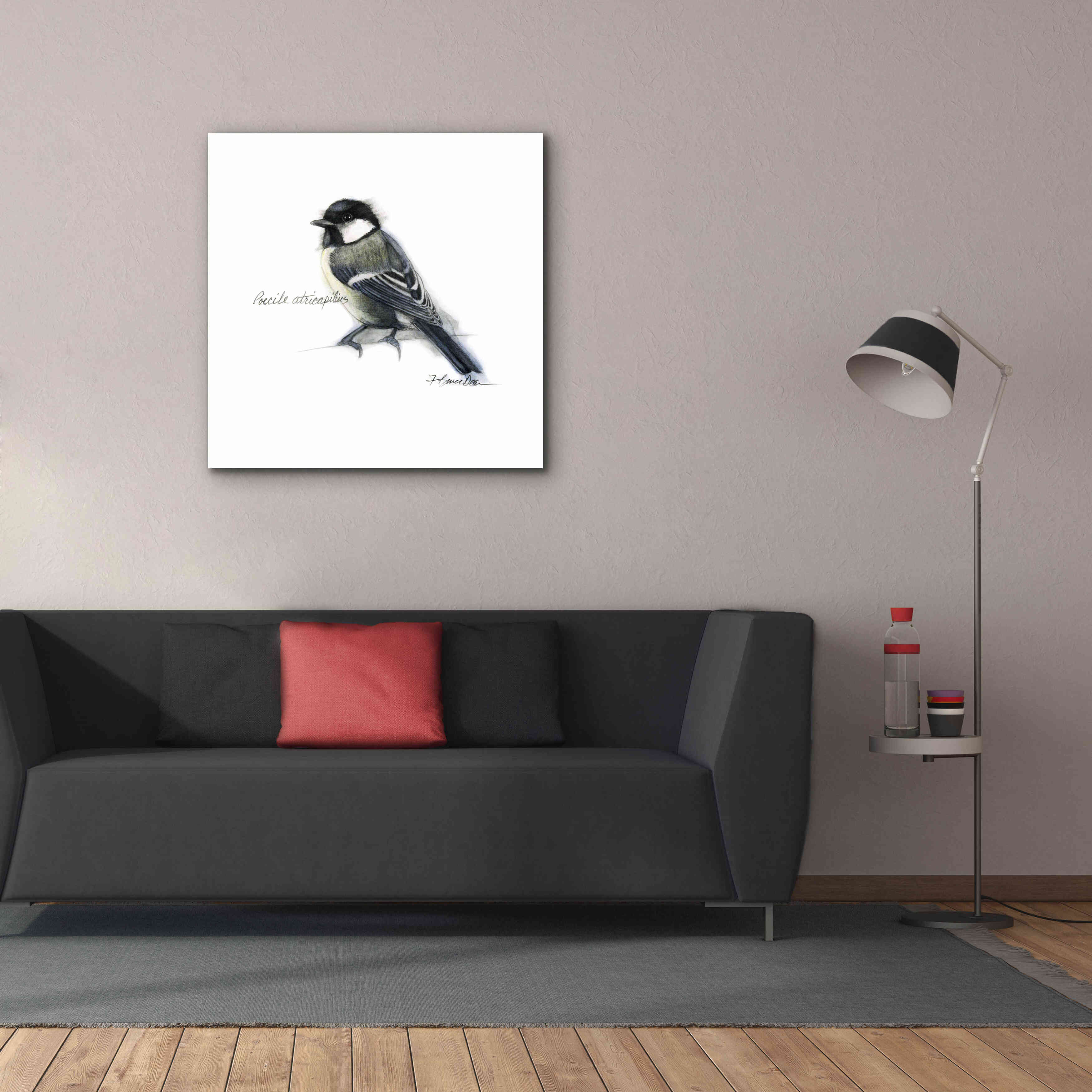 'Songbird Study II' by Bruce Dean, Giclee Canvas Wall Art,37x37