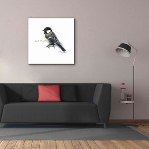 'Songbird Study II' by Bruce Dean, Giclee Canvas Wall Art,37x37