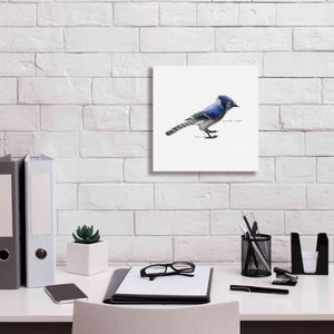 'Songbird Study III' by Bruce Dean, Giclee Canvas Wall Art,12x12