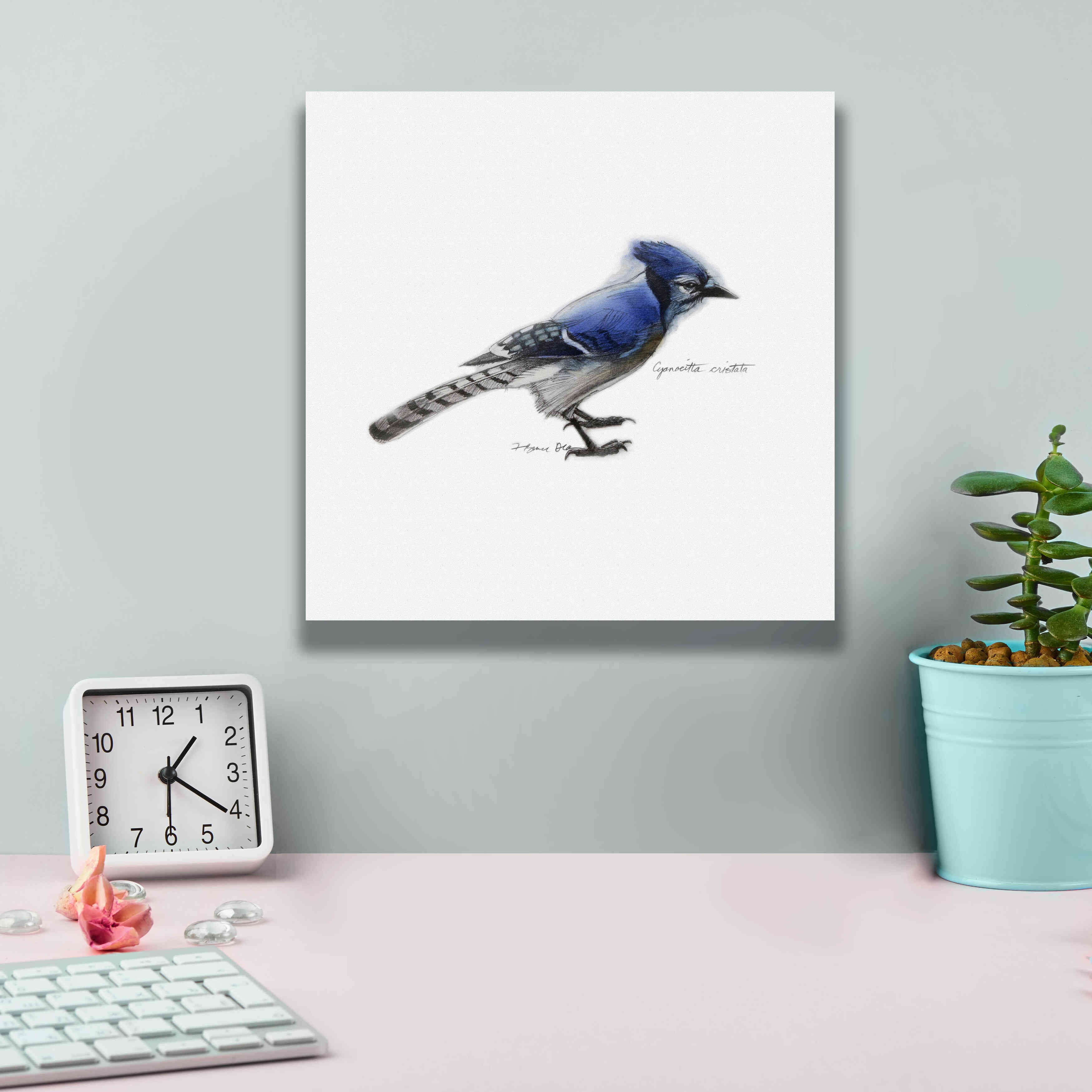 'Songbird Study III' by Bruce Dean, Giclee Canvas Wall Art,12x12
