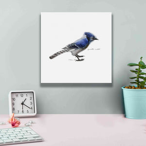 'Songbird Study III' by Bruce Dean, Giclee Canvas Wall Art,12x12