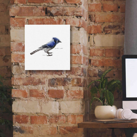 Image of 'Songbird Study III' by Bruce Dean, Giclee Canvas Wall Art,12x12