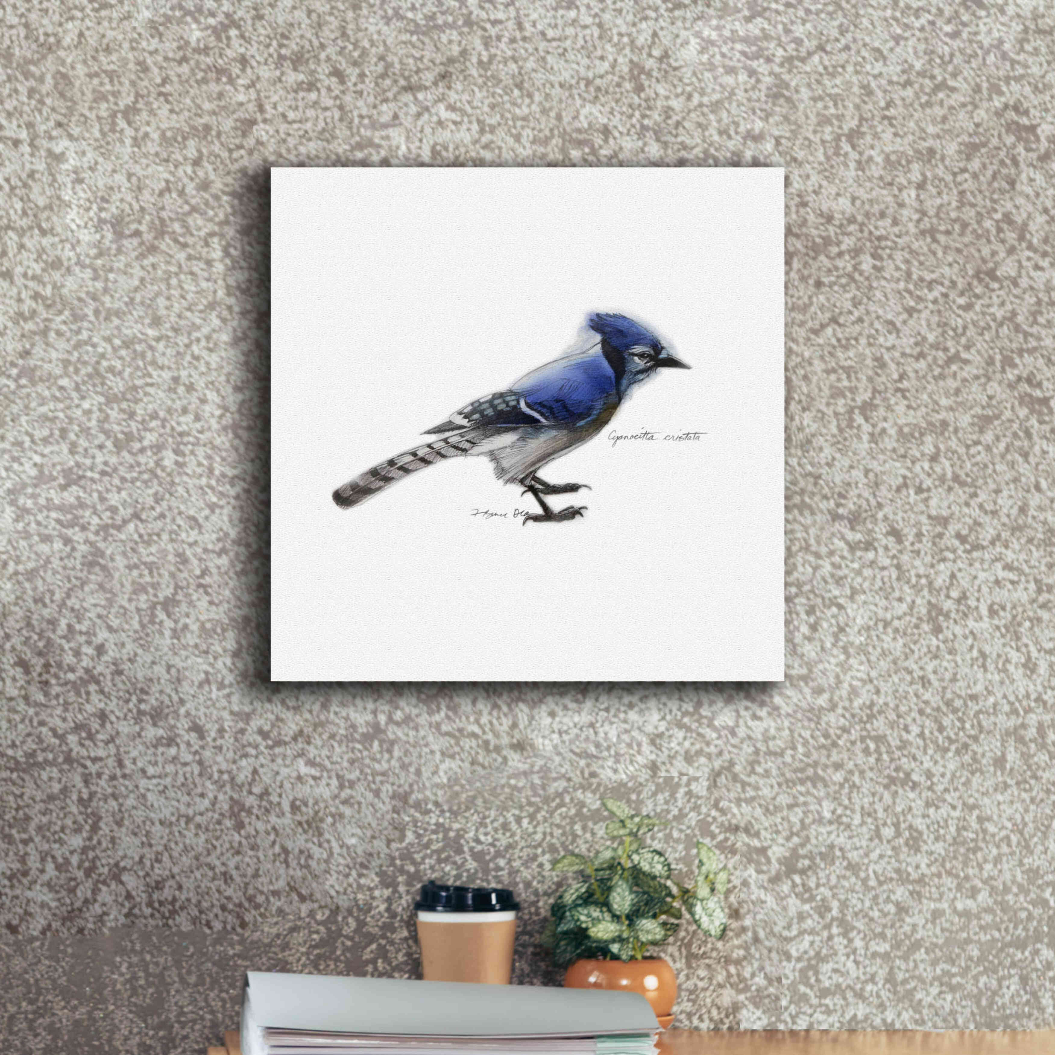 'Songbird Study III' by Bruce Dean, Giclee Canvas Wall Art,18x18