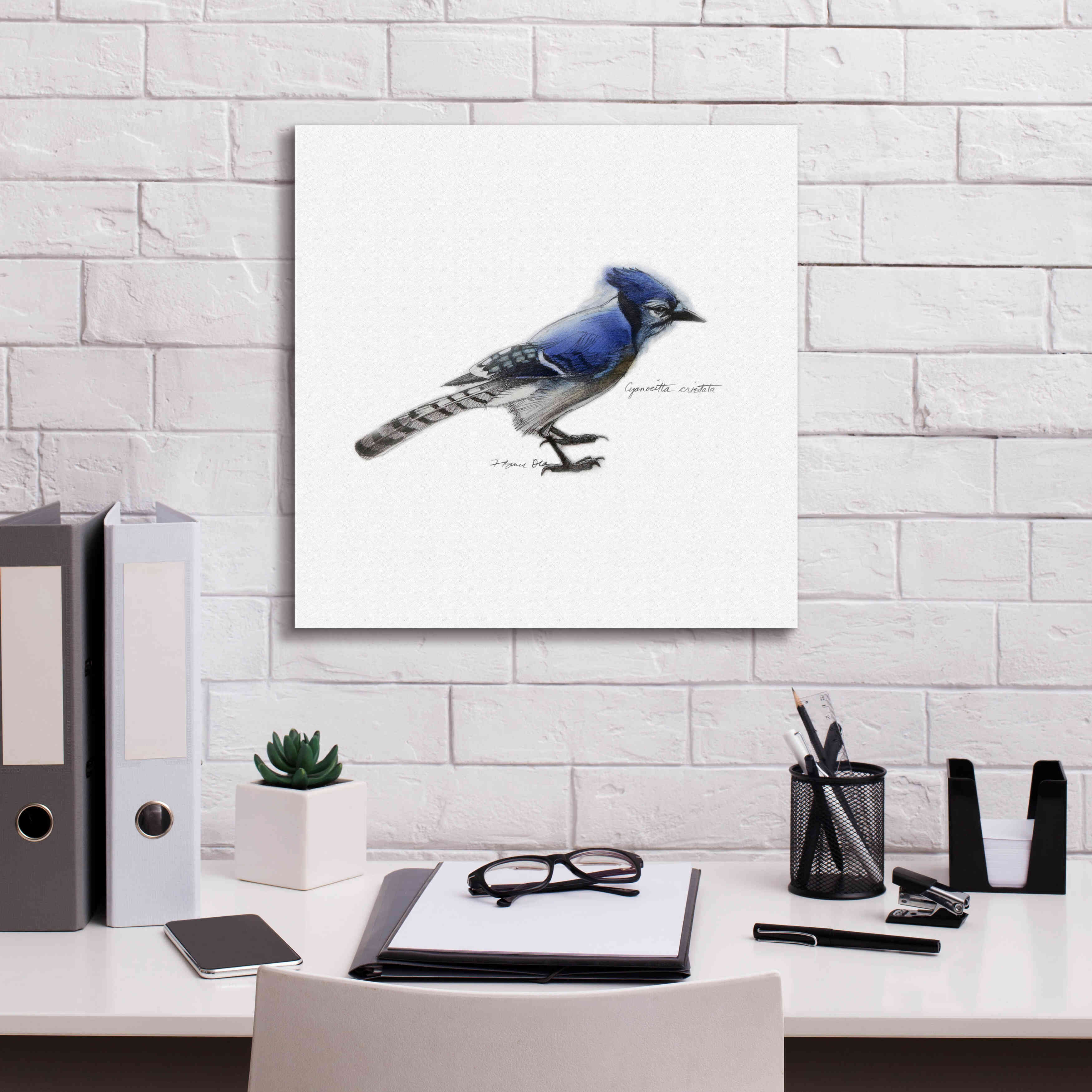 'Songbird Study III' by Bruce Dean, Giclee Canvas Wall Art,18x18