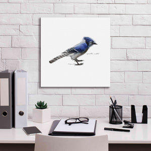 'Songbird Study III' by Bruce Dean, Giclee Canvas Wall Art,18x18