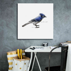 'Songbird Study III' by Bruce Dean, Giclee Canvas Wall Art,26x26