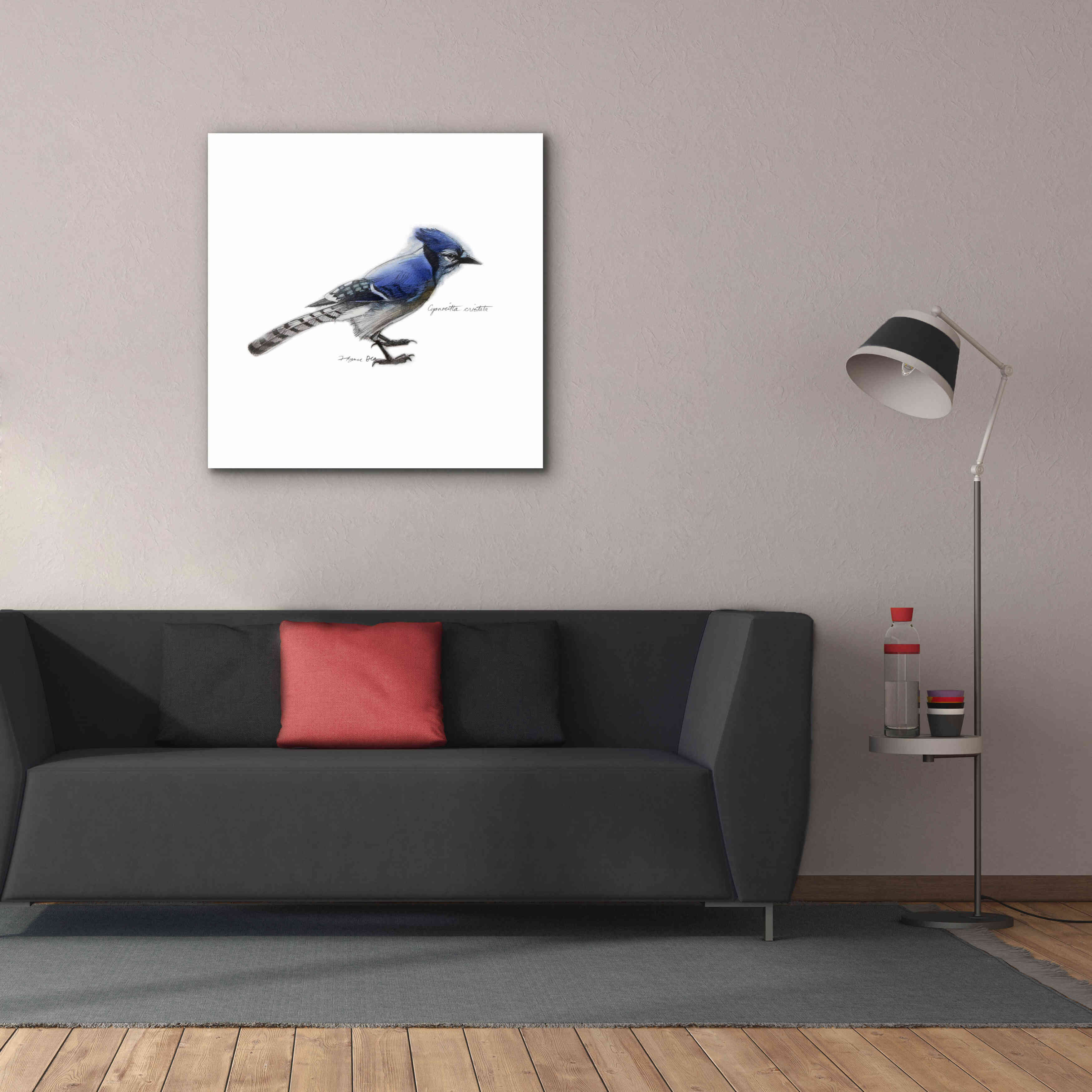'Songbird Study III' by Bruce Dean, Giclee Canvas Wall Art,37x37