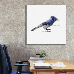 'Songbird Study III' by Bruce Dean, Giclee Canvas Wall Art,37x37