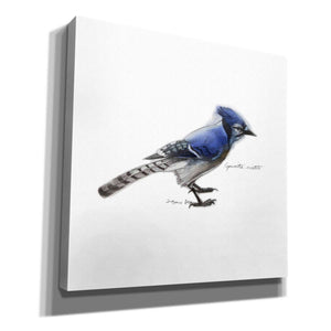 'Songbird Study III' by Bruce Dean, Giclee Canvas Wall Art